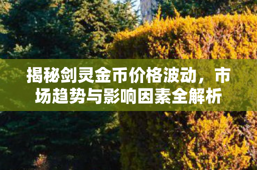 揭秘剑灵金币价格波动,市场趋势与影响因素全解析 揭秘剑灵金币价格波动,市场趋势与影响因素全解析