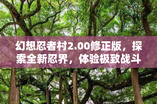 幻想忍者村2图片