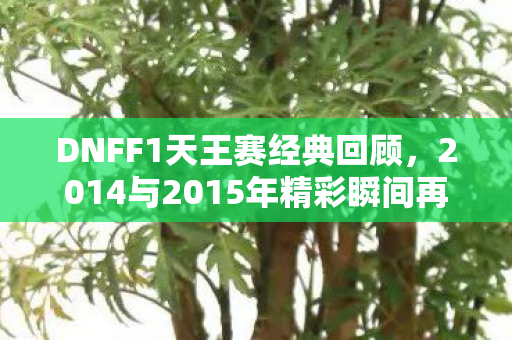 2014与2015年精彩瞬间再放送图片