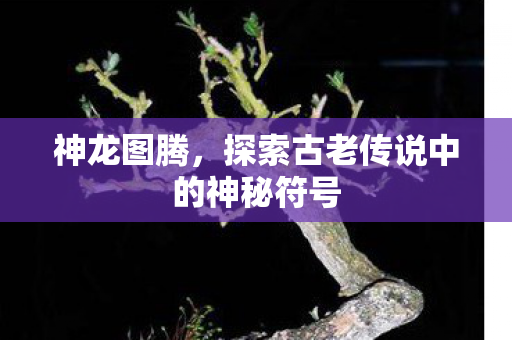 探索古老传说中的神秘符号图片