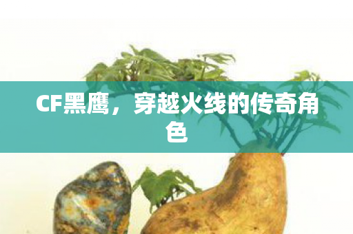 穿越火线的传奇角色图片