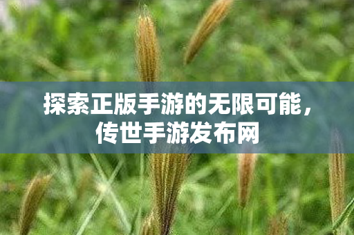 探索正版手游的无限可能图片
