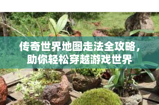 传奇世界地图走法全攻略图片