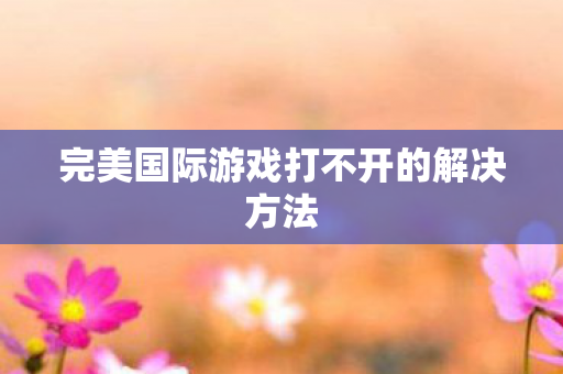 完美国际游戏打不开的解决方法图片