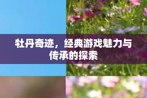 经典游戏魅力与传承的探索图片
