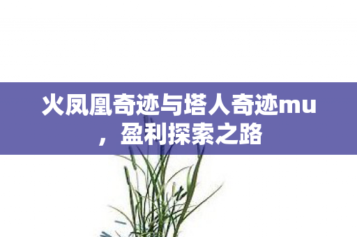 火凤凰奇迹与塔人奇迹mu图片