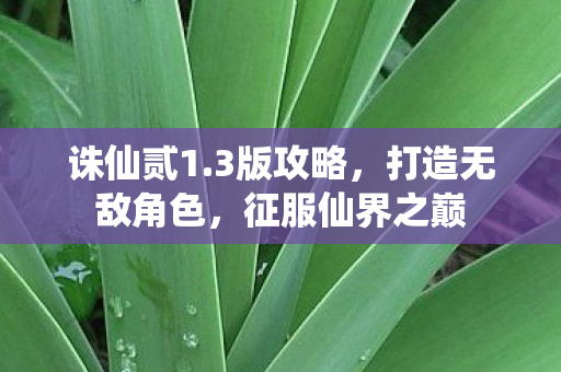 打造无敌角色图片
