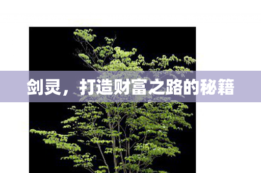 打造财富之路的秘籍图片