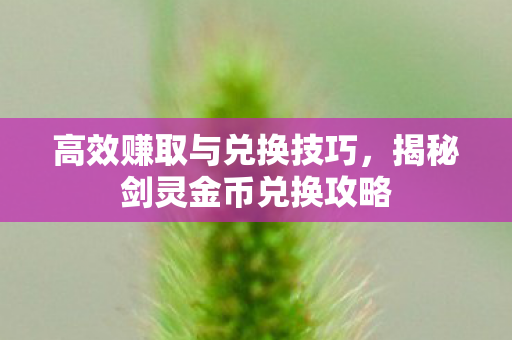 高效赚取与兑换技巧,揭秘剑灵金币兑换攻略 高效赚取与兑换技巧,揭秘剑灵金币兑换攻略