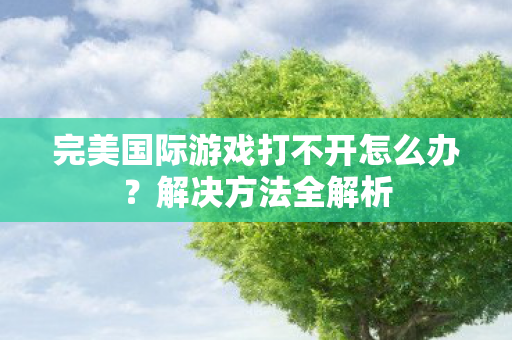 完美国际游戏打不开怎么办图片