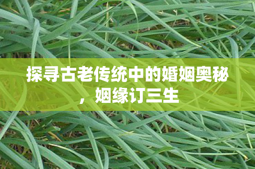 探寻古老传统中的婚姻奥秘图片