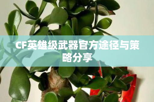 CF英雄级武器官方途径与策略分享图片