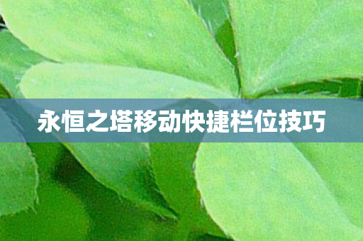 永恒之塔移动快捷栏位技巧图片