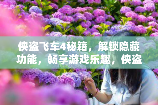 侠盗飞车4秘籍,解锁隐藏功能,畅享游戏乐趣,侠盗飞车4秘籍解锁,畅享隐藏功能,玩转游戏乐趣 侠盗飞车4秘籍,解锁隐藏功能,畅享游戏乐趣,侠盗飞车4秘籍解锁,畅享隐藏功能,玩转游戏乐趣