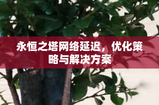 优化策略与解决方案图片