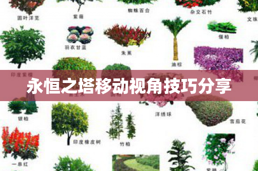 永恒之塔移动视角技巧分享图片
