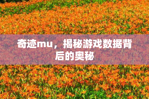 揭秘游戏数据背后的奥秘图片