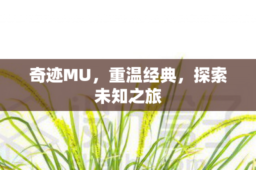 探索未知之旅图片