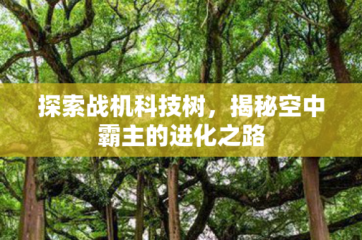 揭秘空中霸主的进化之路图片