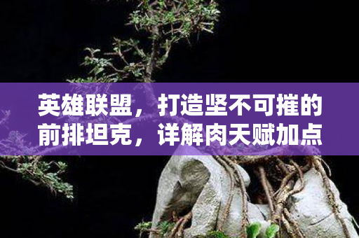 打造坚不可摧的前排坦克图片