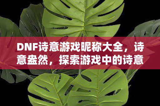 DNF诗意游戏昵称大全图片