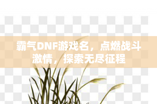 霸气DNF游戏名图片