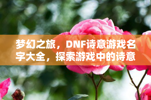 梦幻之旅,DNF诗意游戏名字大全,探索游戏中的诗意之旅 梦幻之旅,DNF诗意游戏名字大全,探索游戏中的诗意之旅