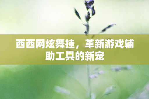 革新游戏辅助工具的新宠图片