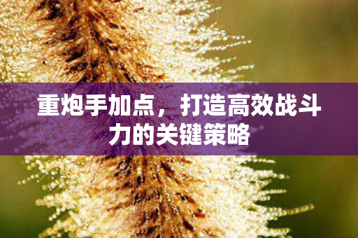 打造高效战斗力的关键策略图片