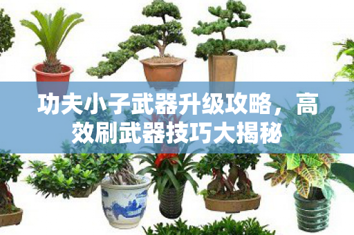 功夫小子武器升级攻略图片