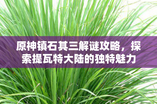 探索提瓦特大陆的独特魅力图片
