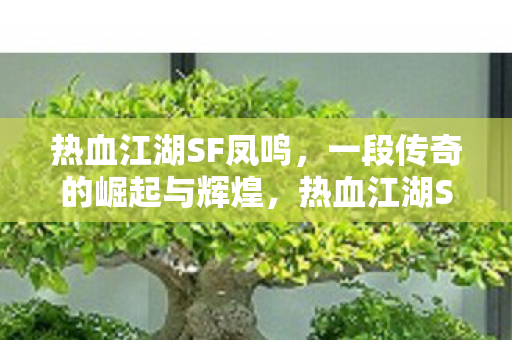 一段传奇的崛起与辉煌图片