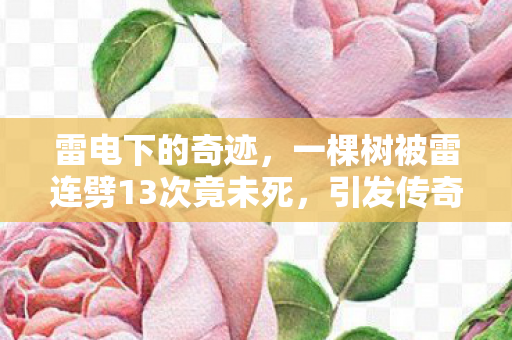 一棵树被雷连劈13次竟未死图片