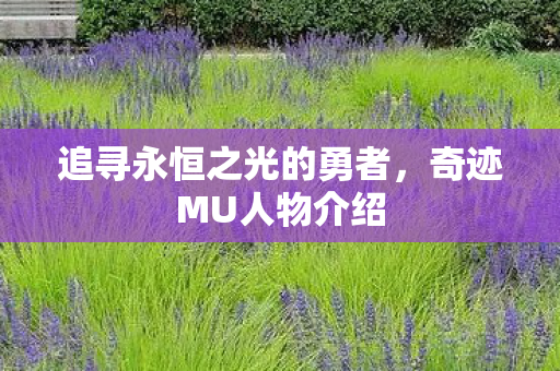 追寻永恒之光的勇者图片
