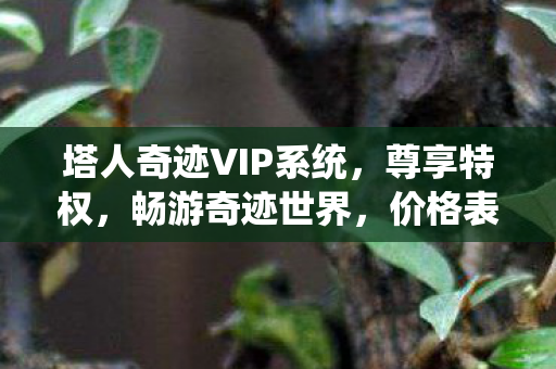 塔人奇迹VIP系统图片