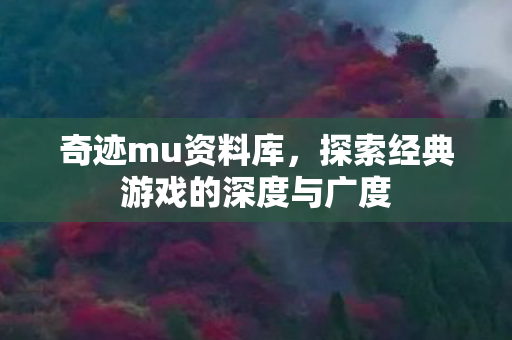 探索经典游戏的深度与广度图片