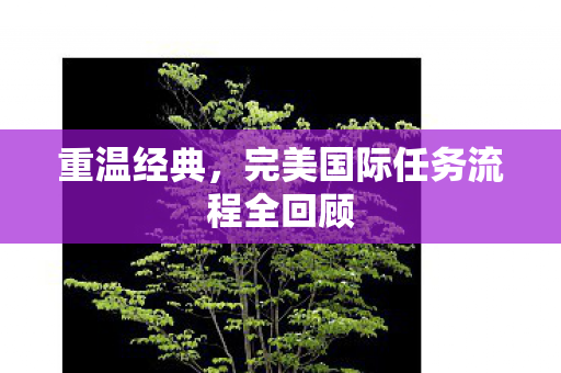 完美国际任务流程全回顾图片