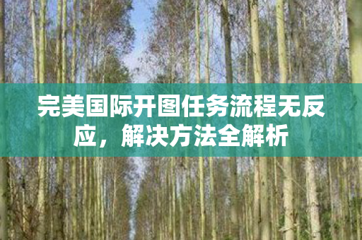 完美国际开图任务流程无反应图片