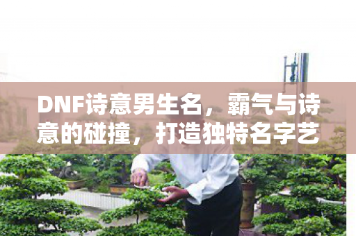 DNF诗意男生名图片