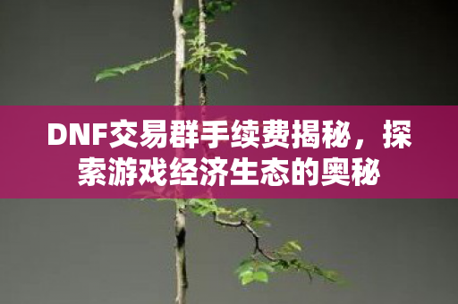 DNF交易群手续费揭秘图片