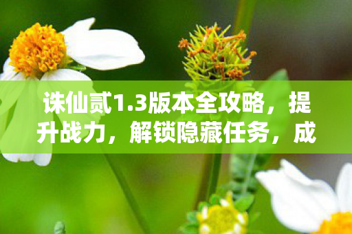 诛仙贰1.3版本全攻略，提升战力，解锁隐藏任务，成就修仙传奇，诛仙贰1.3版本全攻略，解锁隐藏任务，提升战力，成就修仙传奇