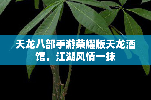 天龙八部手游荣耀版天龙酒馆图片