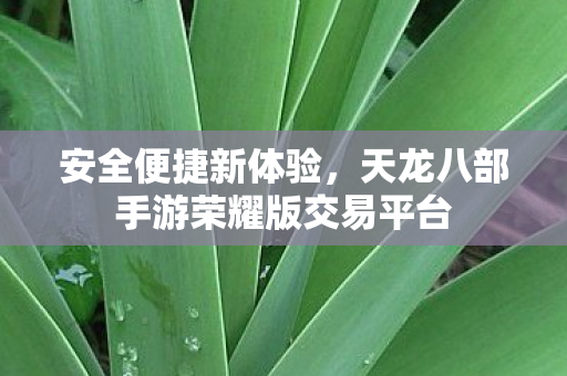 天龙八部手游荣耀版交易平台图片