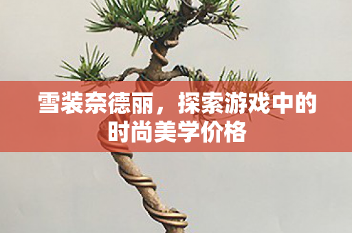 探索游戏中的时尚美学价格图片
