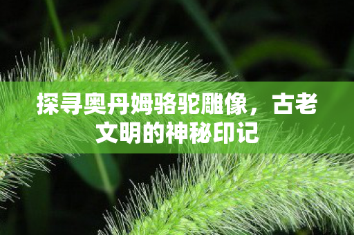 探寻奥丹姆骆驼雕像图片