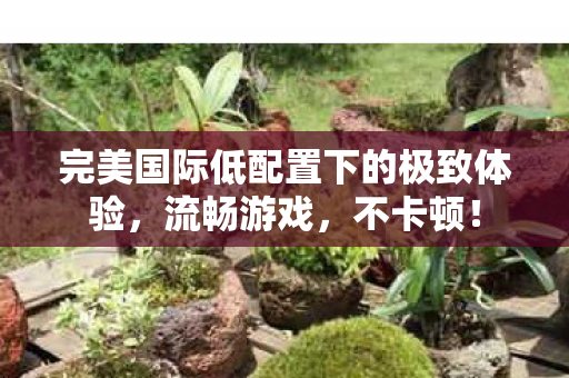 完美国际低配置下的极致体验图片