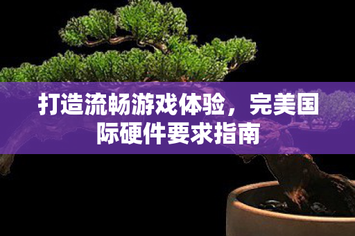 完美国际硬件要求指南图片