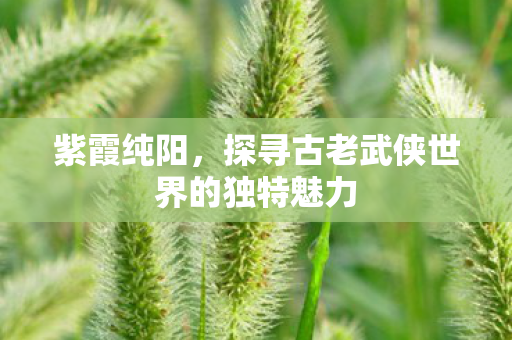 探寻古老武侠世界的独特魅力图片