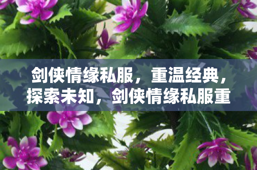 剑侠情缘私服重温经典图片