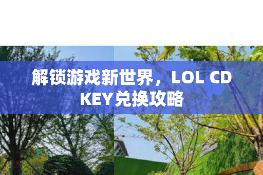 LOL CDKEY兑换攻略图片